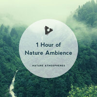 Clouds Go Away - Nature Atmospheres & Nature Sounds