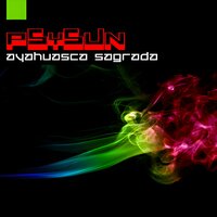 Visoes do Futuro - Psysun