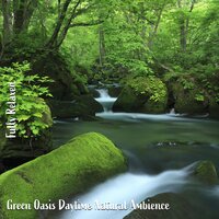 Green Oasis Daytime Natural Ambience, Pt. 4 - Steve Brassel
