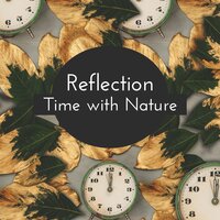 Tranquility Process - Mental Balance - Nature Sounds Paradise