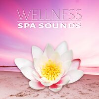 Chillout Calm Music for Sleep - Day Spa Academy
