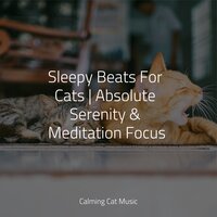 Seaside Air - Jazz Music for Cats & Music for Resting Cats & Music for Cats TA