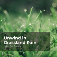 Pacific Terrestrial Rain - Rain Recorders & Rainfall & Nature Rain Relaxation
