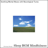 Embracing The Sound Healing Tunes of Nature's Embrace For Mental Clarity - Sleep BGM Mindfulness