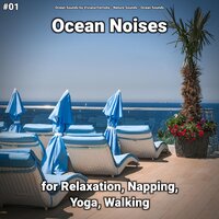 Ocean Noises Part 17 - Ocean Sounds by Viviana Fernsby & Nature Sounds & Ocean Sounds