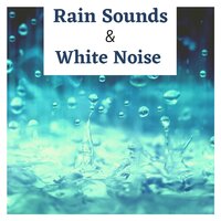Establish Deep Calm in your Life - Rainforest Music Lullabies Ensemble