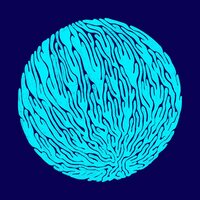 No LIfe - Extra