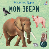 Слон Бэби. Карлик - Валерия Савельева