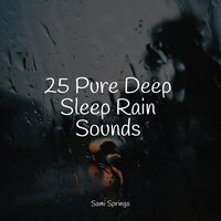Birds at Sunset - Active Baby Music Workshop & Mother Nature FX & Rain Makers
