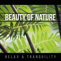 Relax at the Piano - Mothers Nature Music Academy