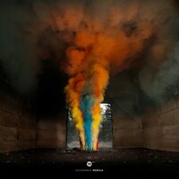 Cosmos - Echonomist