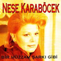 Dönüşünü Bekliyorum - Neşe Karaböcek