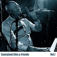 I Wanna Play a Little While - Sunnyland Slim