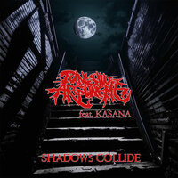 Shadows Collide - PUNISHING ARGUMENT & kasana