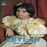 Başıma Vurdun da Deli Ettin Beni - Ceylan