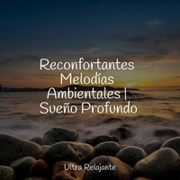 Hojas Revoloteando Hacia Abajo - Musica Para Meditación Profunda & Natureza Musica Bem-Estar Academia & Musica Relajante Para Estudiar