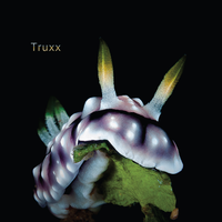 Agedon - Truxx