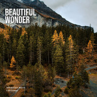 Beautiful Wonder - Infraction Music & Cold Cinema