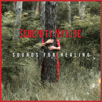 Stream - Serenity Nature Sounds Academy
