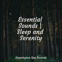 Ambient Soundscape for Sleep - Best Kids Songs & Sol y Lluvia & Heavy Rain Sounds