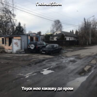 Мухи и черви питаются фаршем - Гнойный$Бани