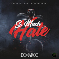 So Much Hate - Demarco