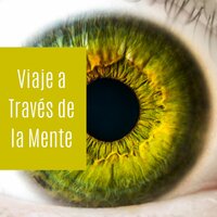 Viaje a Través de la Mente - Serenidad y Armonía