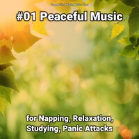 Soothing Music - Relaxing music & Yoga Music & Yoga