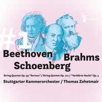 String Quartet No. 11 in F Minor, Op. 95 "Quartetto Serioso": I. Allegro Con Brio - Stuttgarter Kammerorchester & Thomas Zehetmair & Ludwig van Beethoven