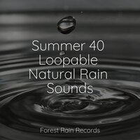 Woodlands, Birds, Wind, Flies - Deep Sleep Systems & Water Spa & Nature Sounds XLE Library