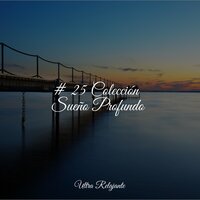 Momentos Zen - Canciones de Cuna Relax & Musica para Dormir Dream House & Música de la Naturaleza