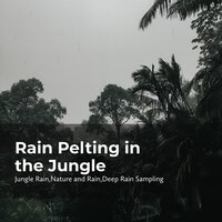 Serene Rain Forest - Nature and Rain & Deep Rain Sampling & Jungle Rain