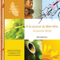Relaxation: Se detendre en travaillant - Gilles Diederichs