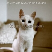 Мечты (Милые кошки) - даунтемпо Музыка для кошек