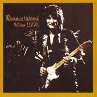 Carribean Boogie - Ronnie Wood