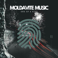 You Make - Moldavite & MXNT