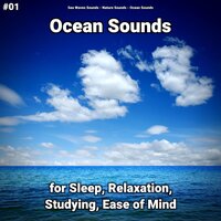 Ocean Sounds Pt. 14 - Sea Waves Sounds & Nature Sounds & Ocean Sounds