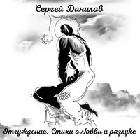 Странная пара - Сергей Данилов