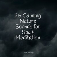 Rain From the Heavens - Calming Rainforest Sounds & Loopable Rain Sounds & Relaxing Sleep Sound