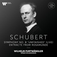 Schubert: Symphony No. 8 in B Minor, D. 759 "Unfinished": I. Allegro moderato - Wilhelm Furtwängler & Франц Шуберт