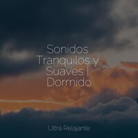 Corriendo En La Arena - Dormir e Meditar & Musica Meditaction & Meditacao Clube