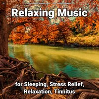 Soothing Music Pt. 60 - Relaxing Music by Finjus Yanez & Yoga & Relaxing Spa Music