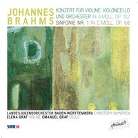 Vivace non troppo - Landesjugendorchester Baden-Württemberg & Иоганнес Брамс