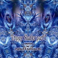9 Pills & 5 Blotters - Psyshark