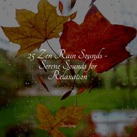 River, Close, Birds, Forest - Nature Sound Collection & Nature's Symphony & Study Music