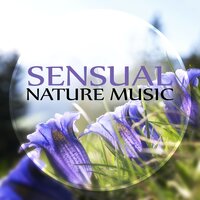 Lullaby Sounds - Universe of Nature Orchestra