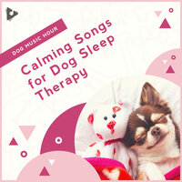 Soothing Sounds with Ocean Waves - Dog Music Hour & Calming Music for Dogs & Calming Puppy Music