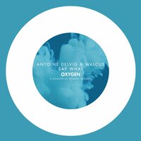 Say What - Antoine Delvig & Walcus