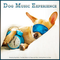 Sleeping Music for Dogs - Dog Music Experience & Sleeping Music For Dogs & Music for Dogs