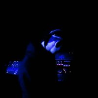 Kold Nights - Veggarillo